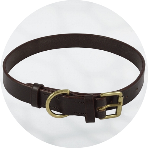 leather brass dog collar